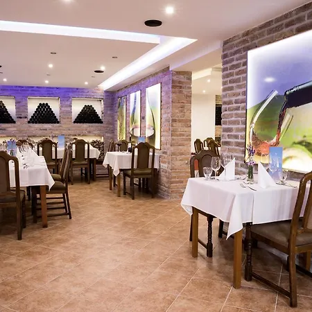 Hotell Vitis 3*